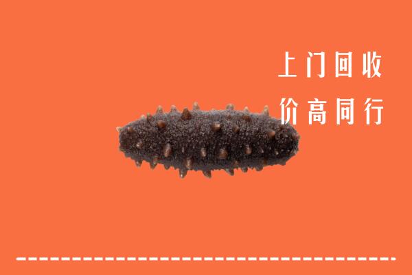 泽普县高价回收海参
