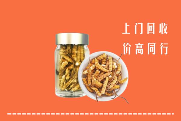 泽普县回收冬虫夏草